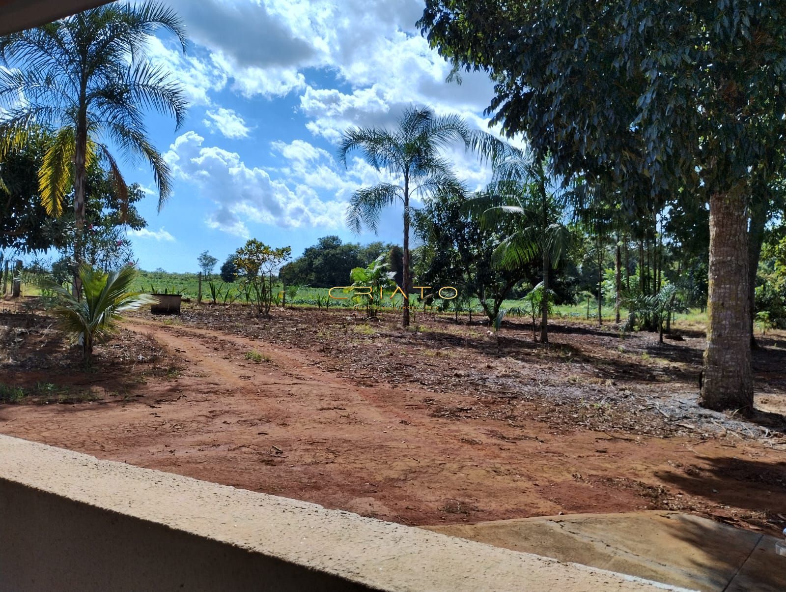 Fazenda à venda com 2 quartos, 20000m² - Foto 14