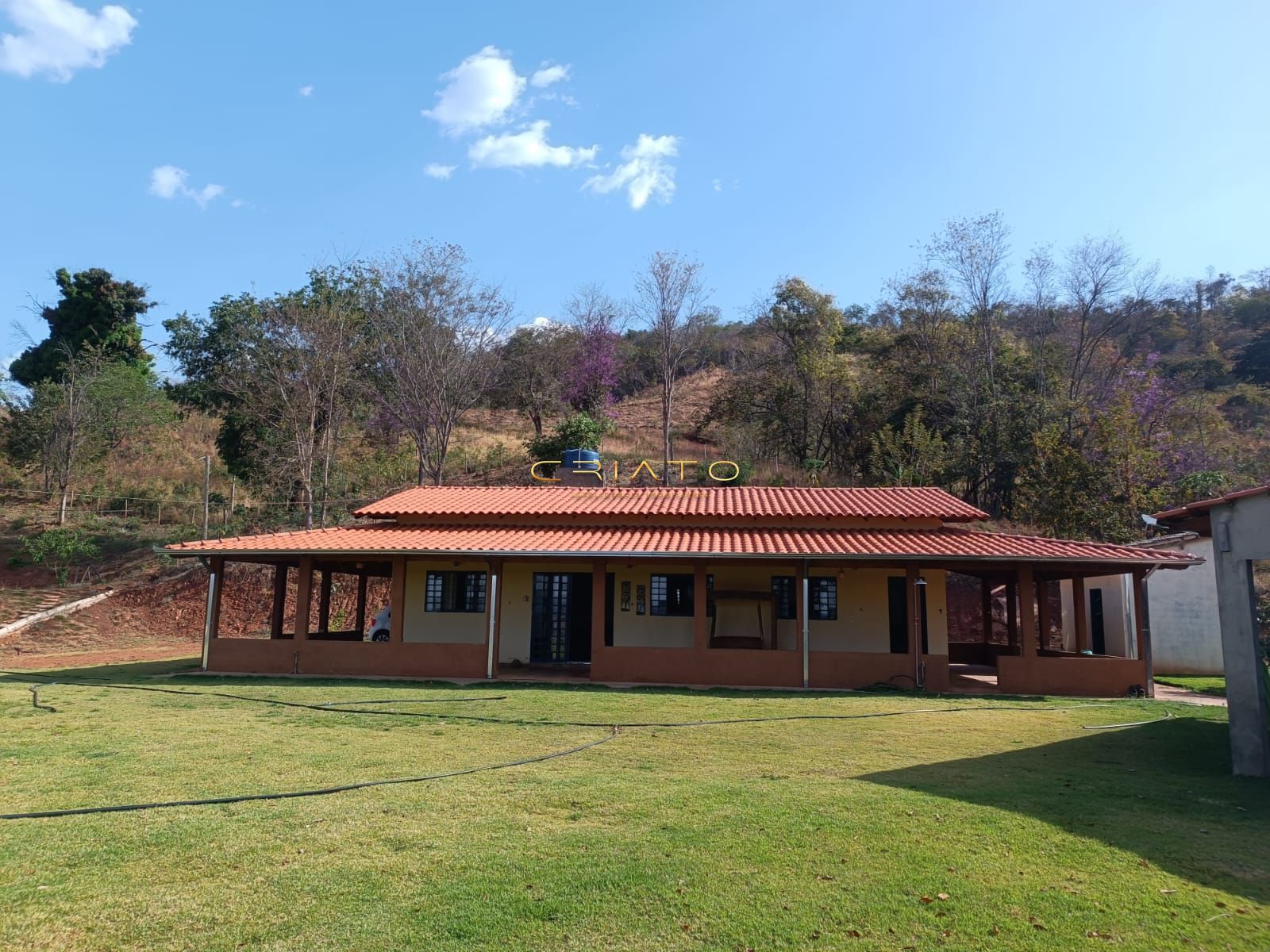 Fazenda à venda com 3 quartos, 12500m² - Foto 1