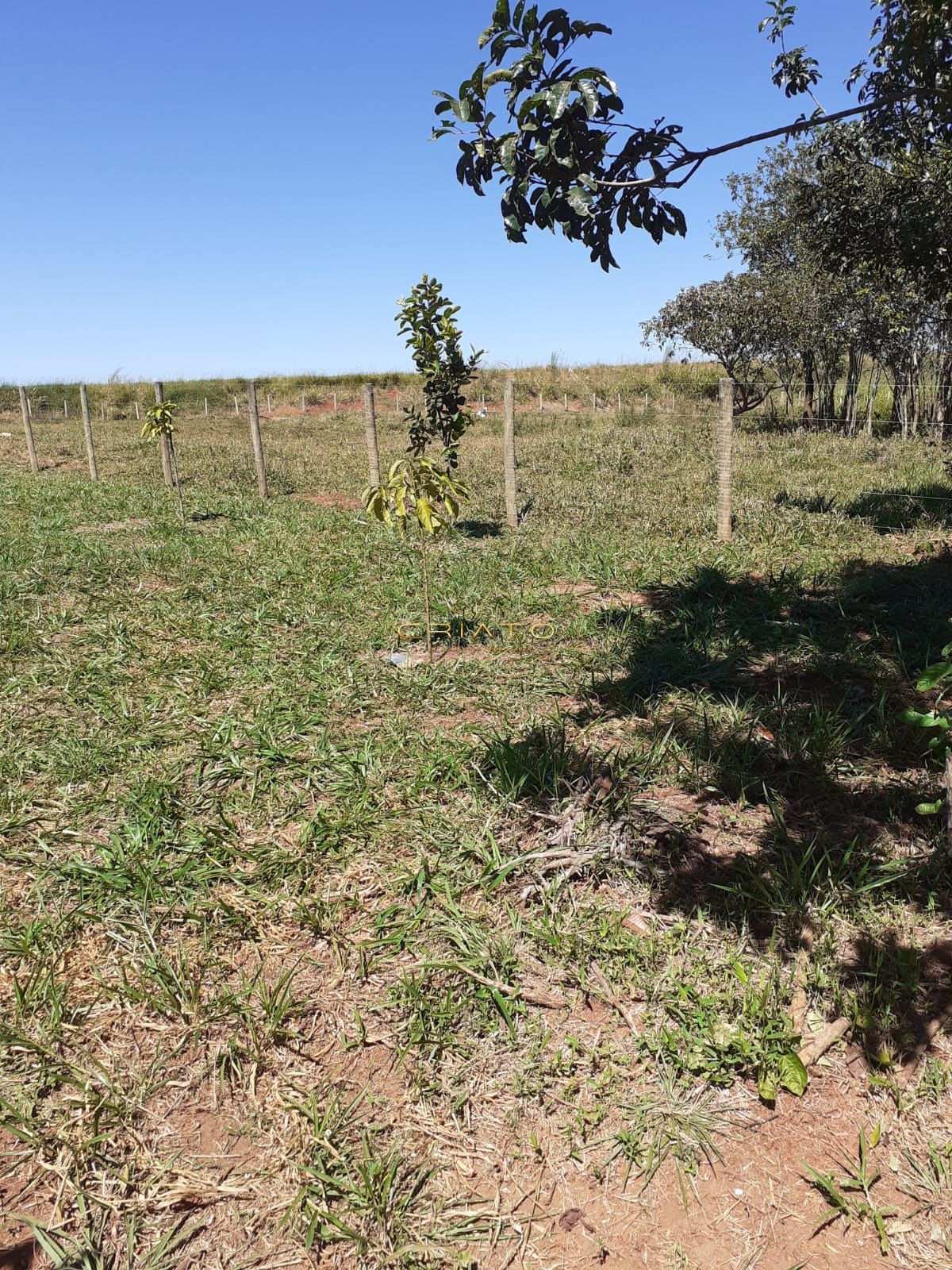 Fazenda à venda com 3 quartos, 20000m² - Foto 33