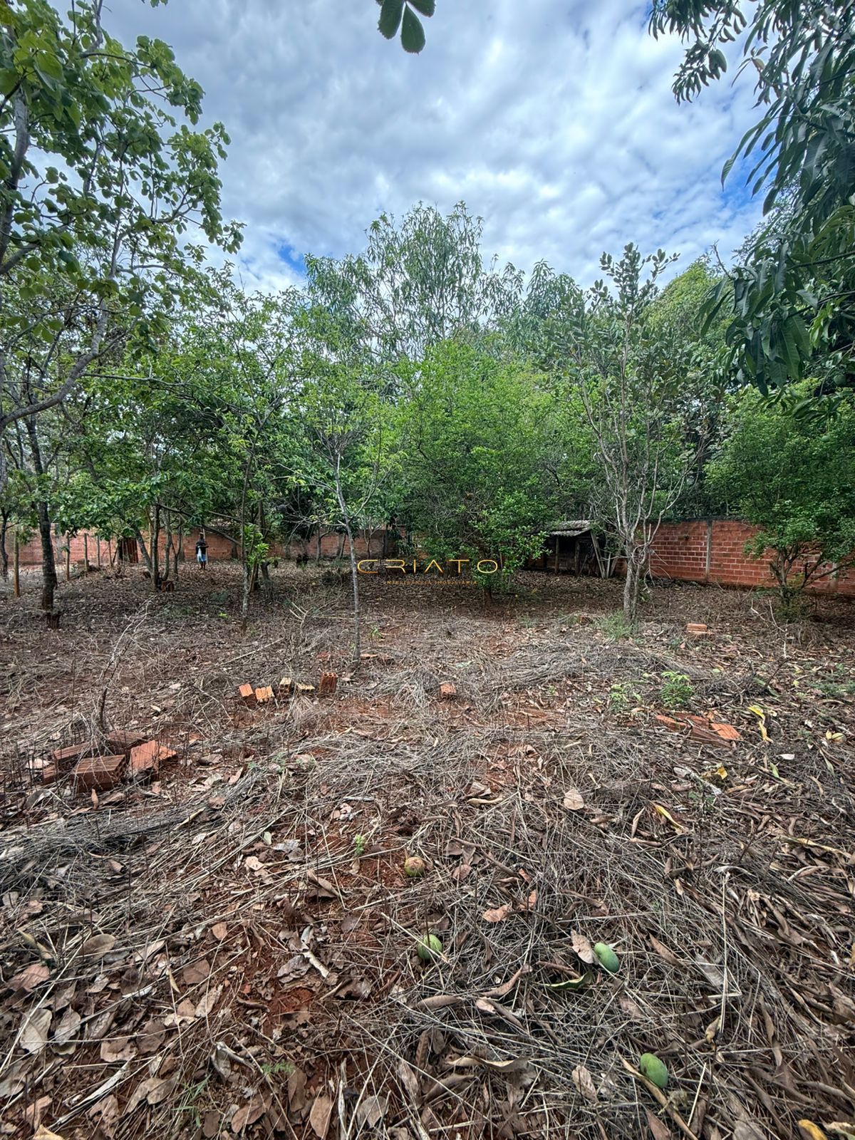 Terreno, 2631 m² - Foto 29