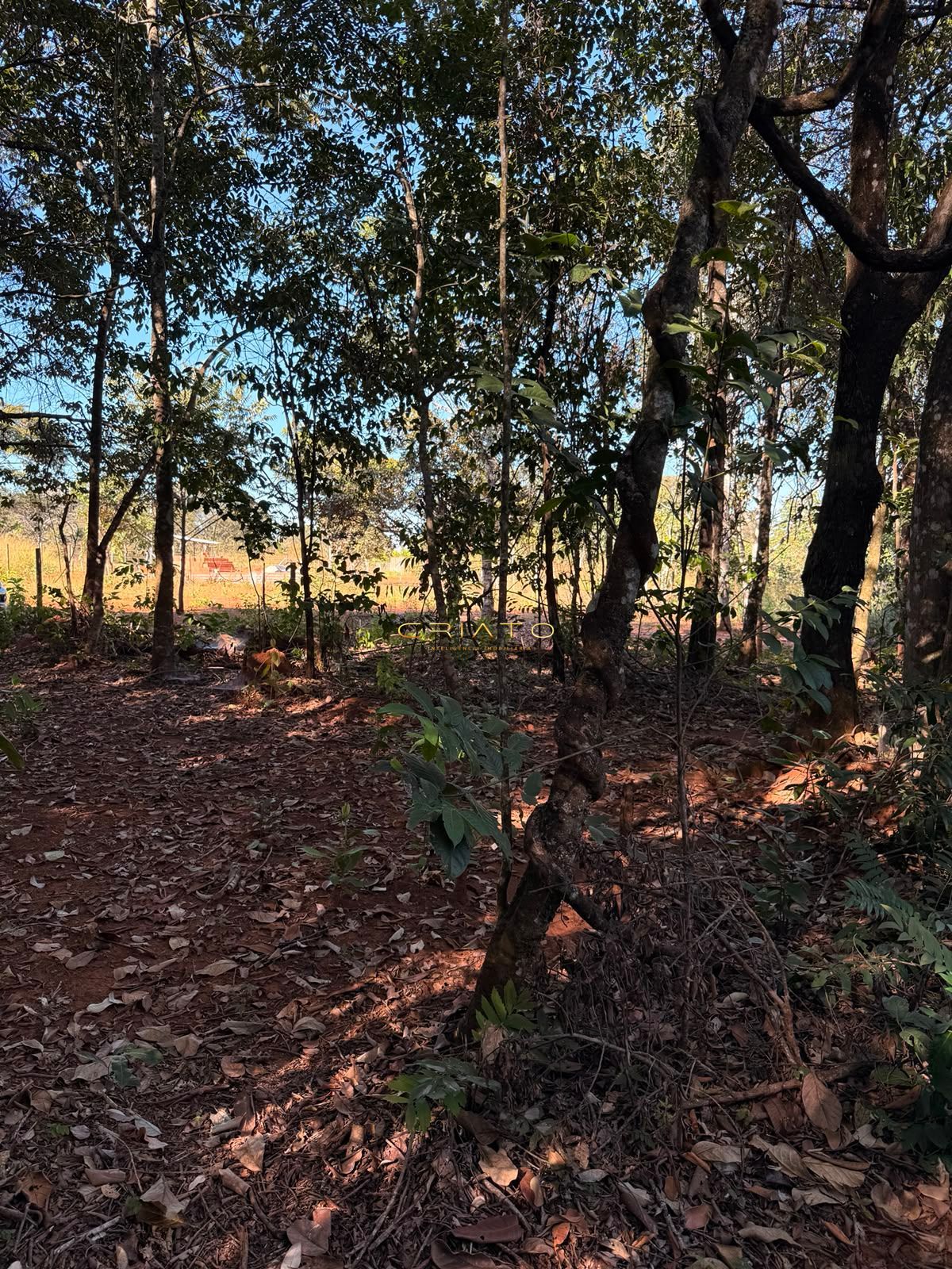 Terreno, 1200 m² - Foto 1
