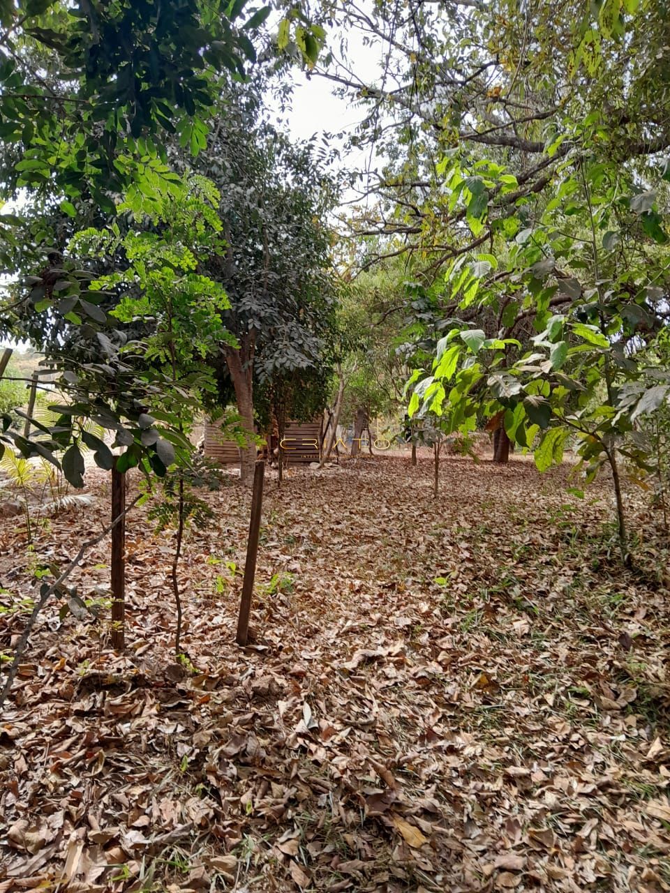 Chácara à venda com 3 quartos, 3000m² - Foto 15