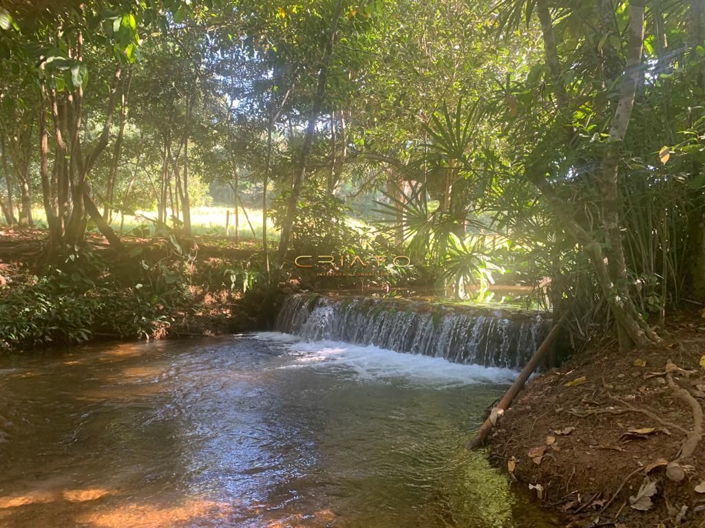 Fazenda à venda com 2 quartos, 620000m² - Foto 1