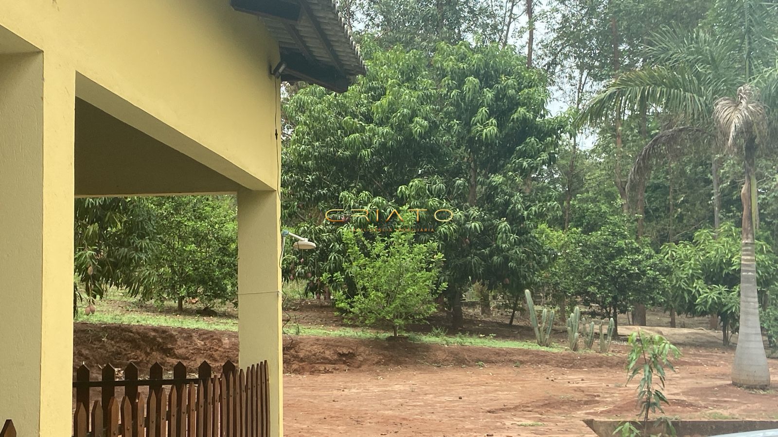 Fazenda, 188 hectares - Foto 3