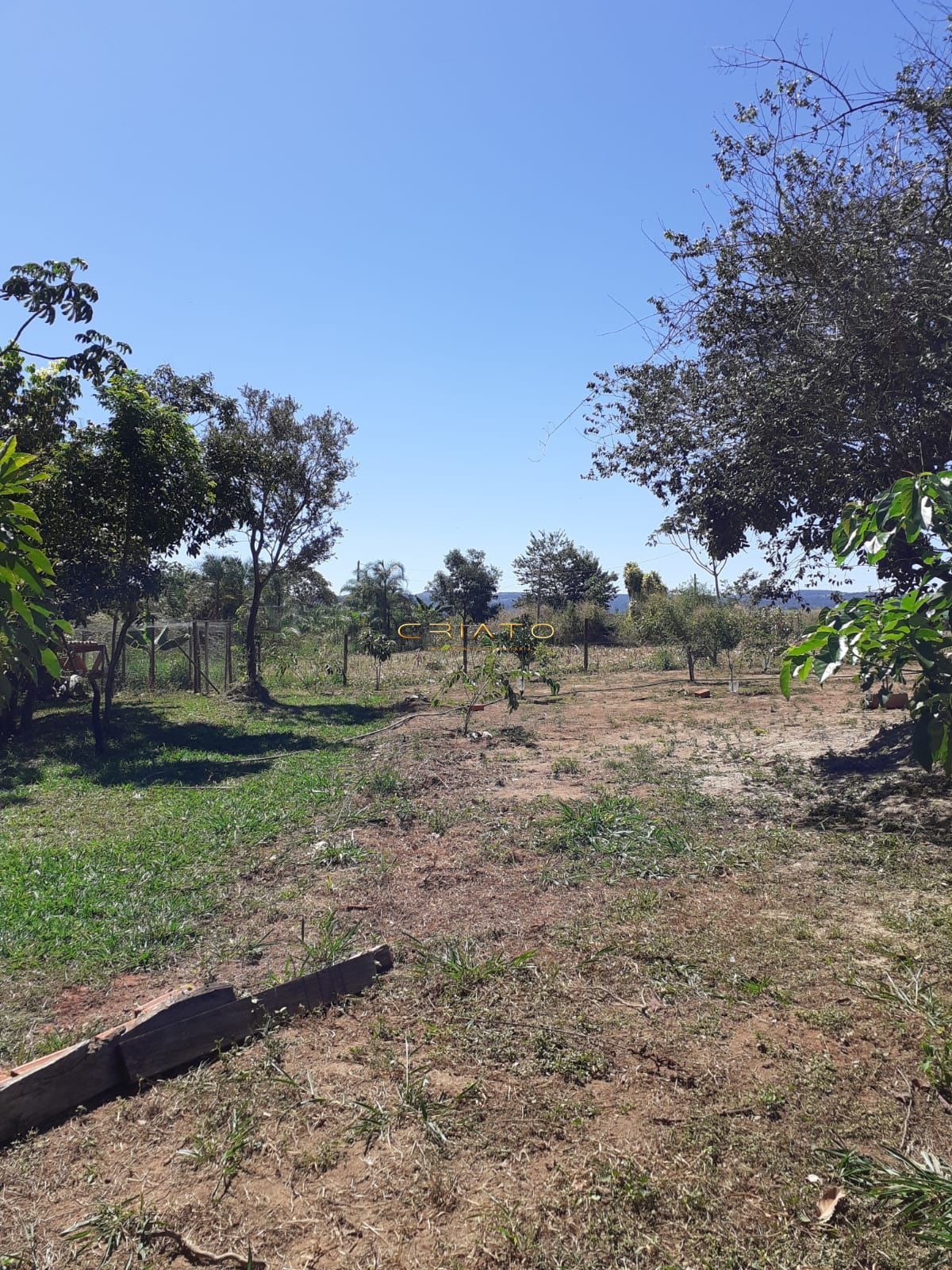 Fazenda à venda com 3 quartos, 20000m² - Foto 30