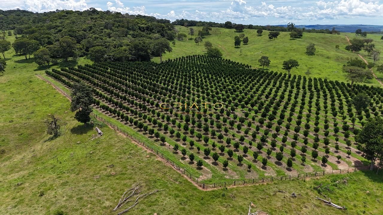 Fazenda, 44 hectares - Foto 1