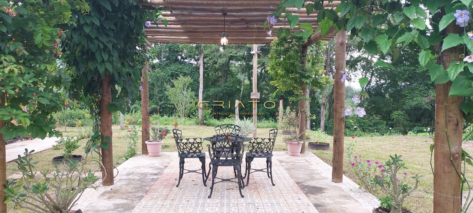 Sítio, 1 quarto, 6 hectares - Foto 14