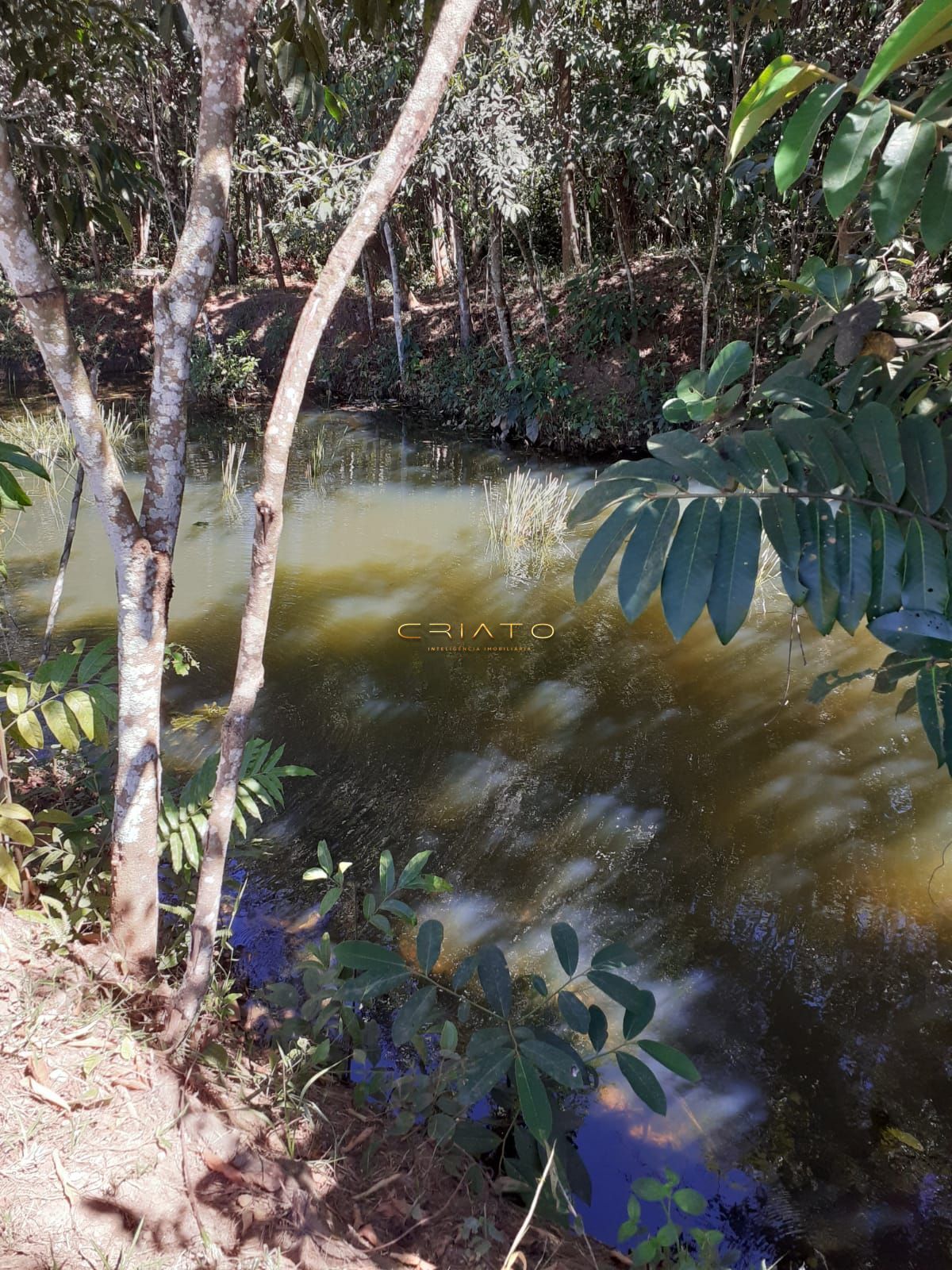 Fazenda à venda com 3 quartos, 20000m² - Foto 16