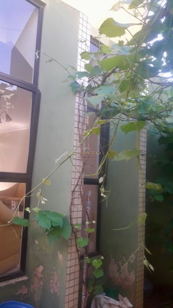 Sobrado, 4 quartos, 825 m² - Foto 3