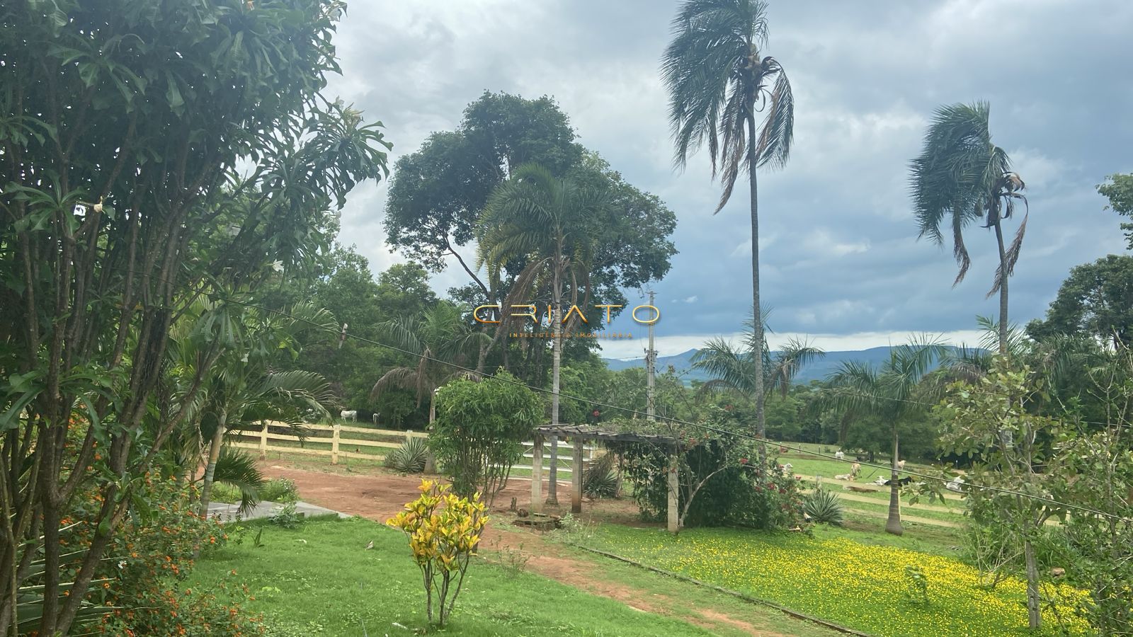 Fazenda, 188 hectares - Foto 10