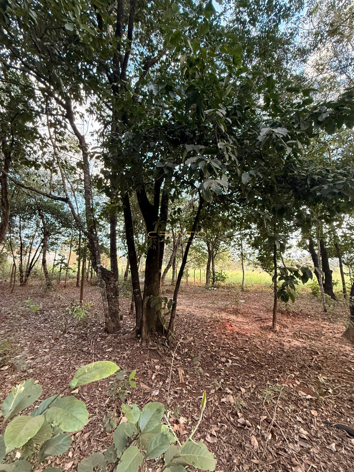 Terreno, 1000 m² - Foto 8