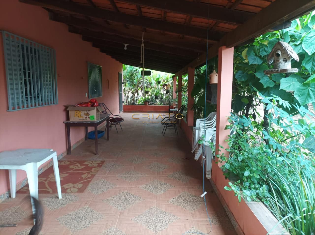 Fazenda à venda com 3 quartos, 3000m² - Foto 13