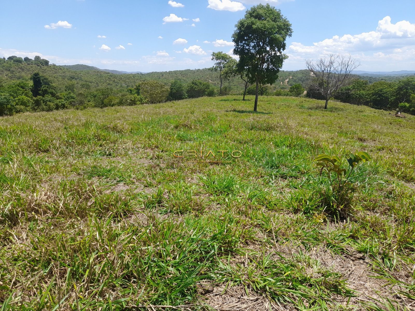 Fazenda, 145 hectares - Foto 6