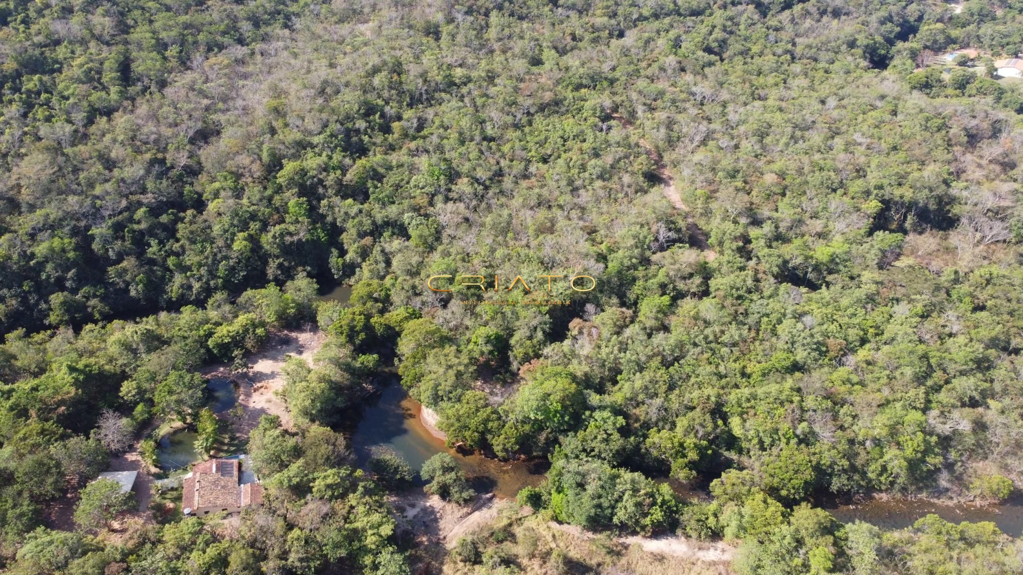 Fazenda à venda - Foto 8