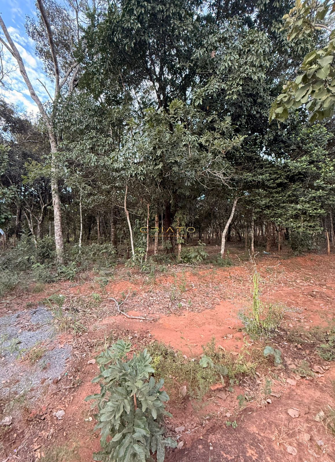 Terreno, 1000 m² - Foto 4