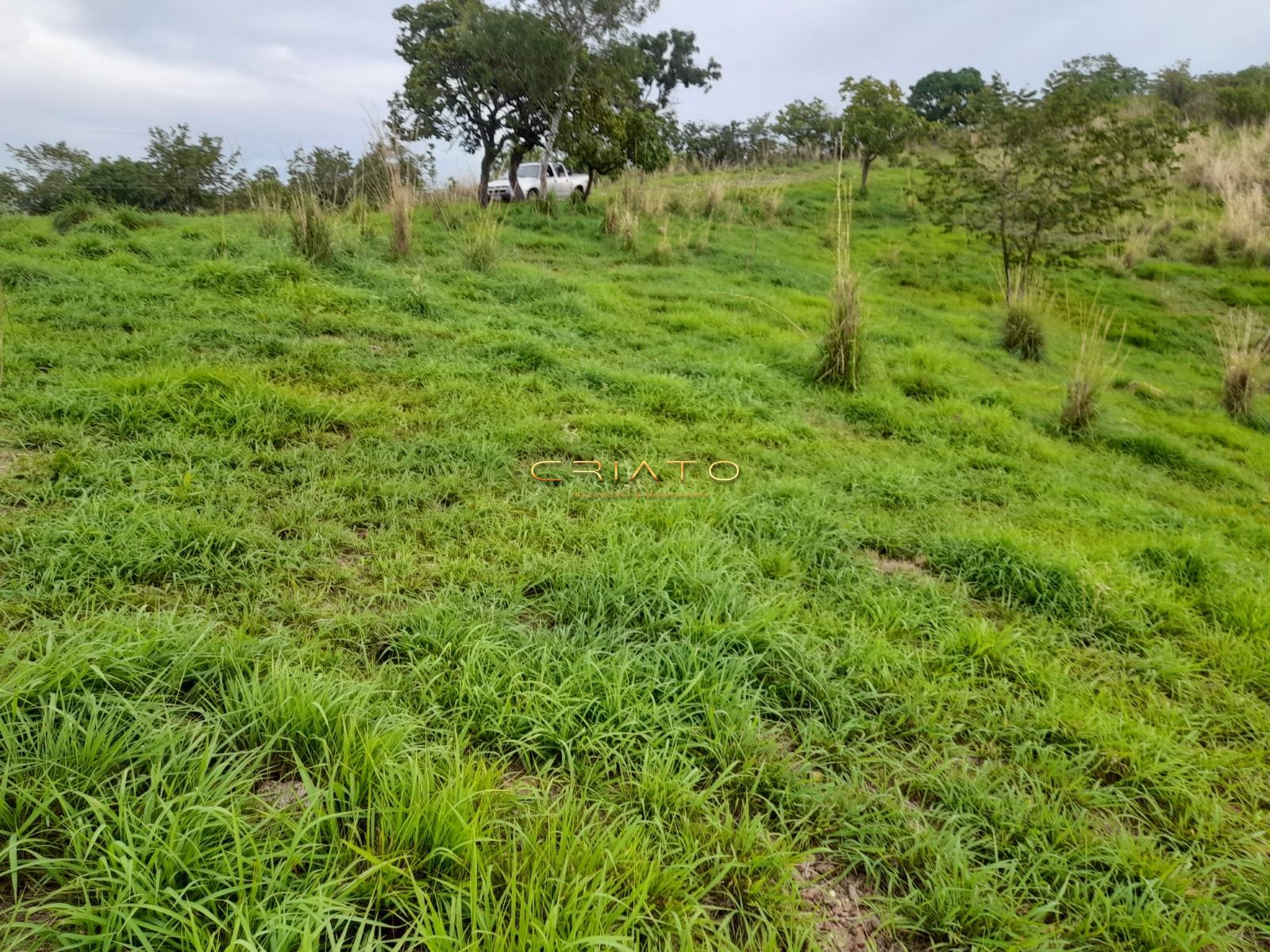 Fazenda, 145 hectares - Foto 24