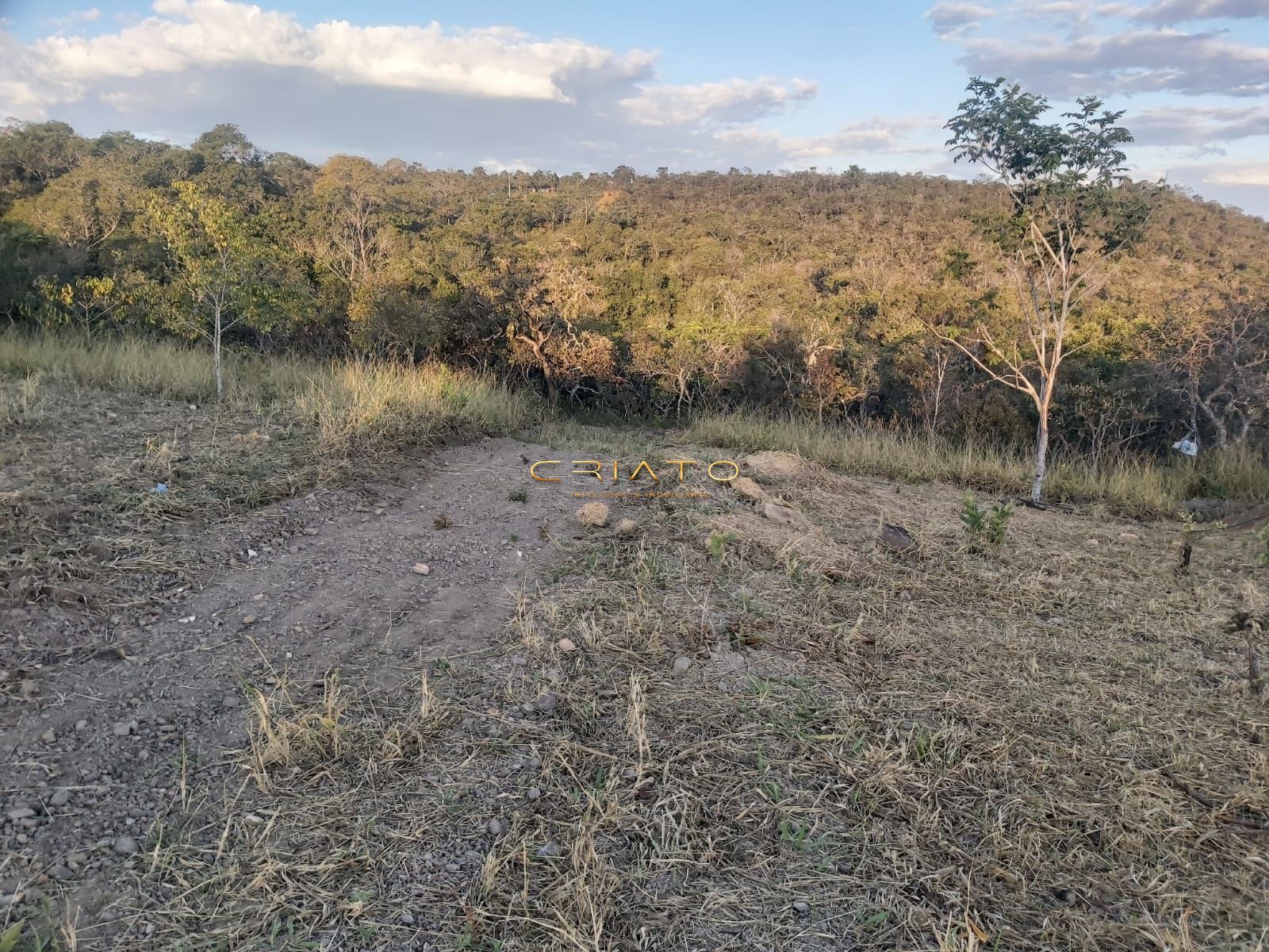 Loteamento e Condomínio à venda, 12500m² - Foto 1