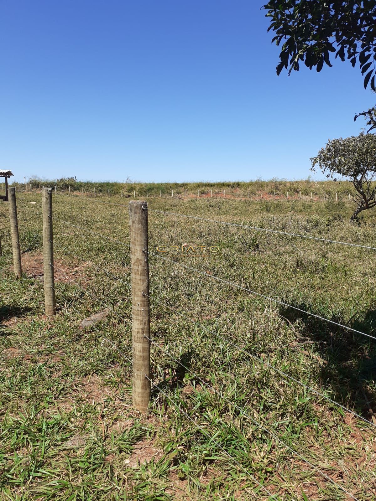 Fazenda à venda com 3 quartos, 20000m² - Foto 15