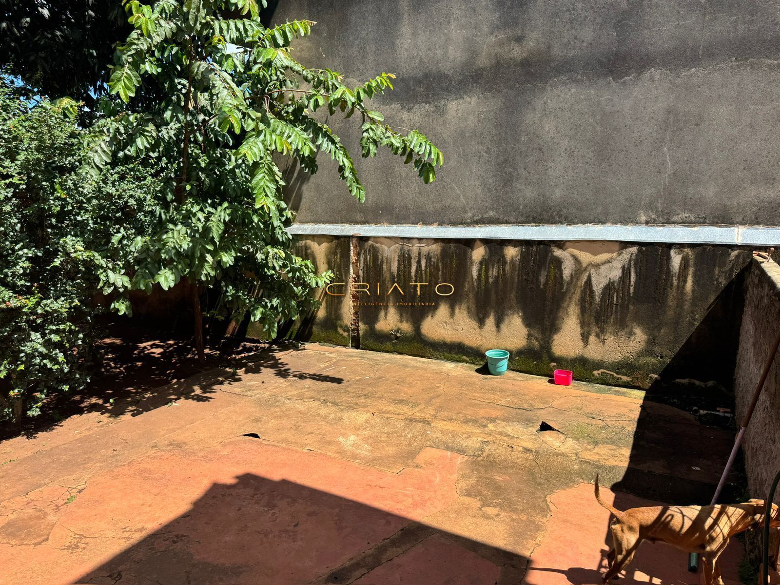 Casa, 3 quartos, 240 m² - Foto 29