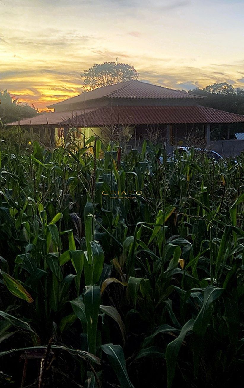 Fazenda à venda com 3 quartos, 9000m² - Foto 3