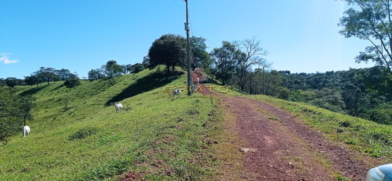 Fazenda à venda com 2 quartos, 240000m² - Foto 12