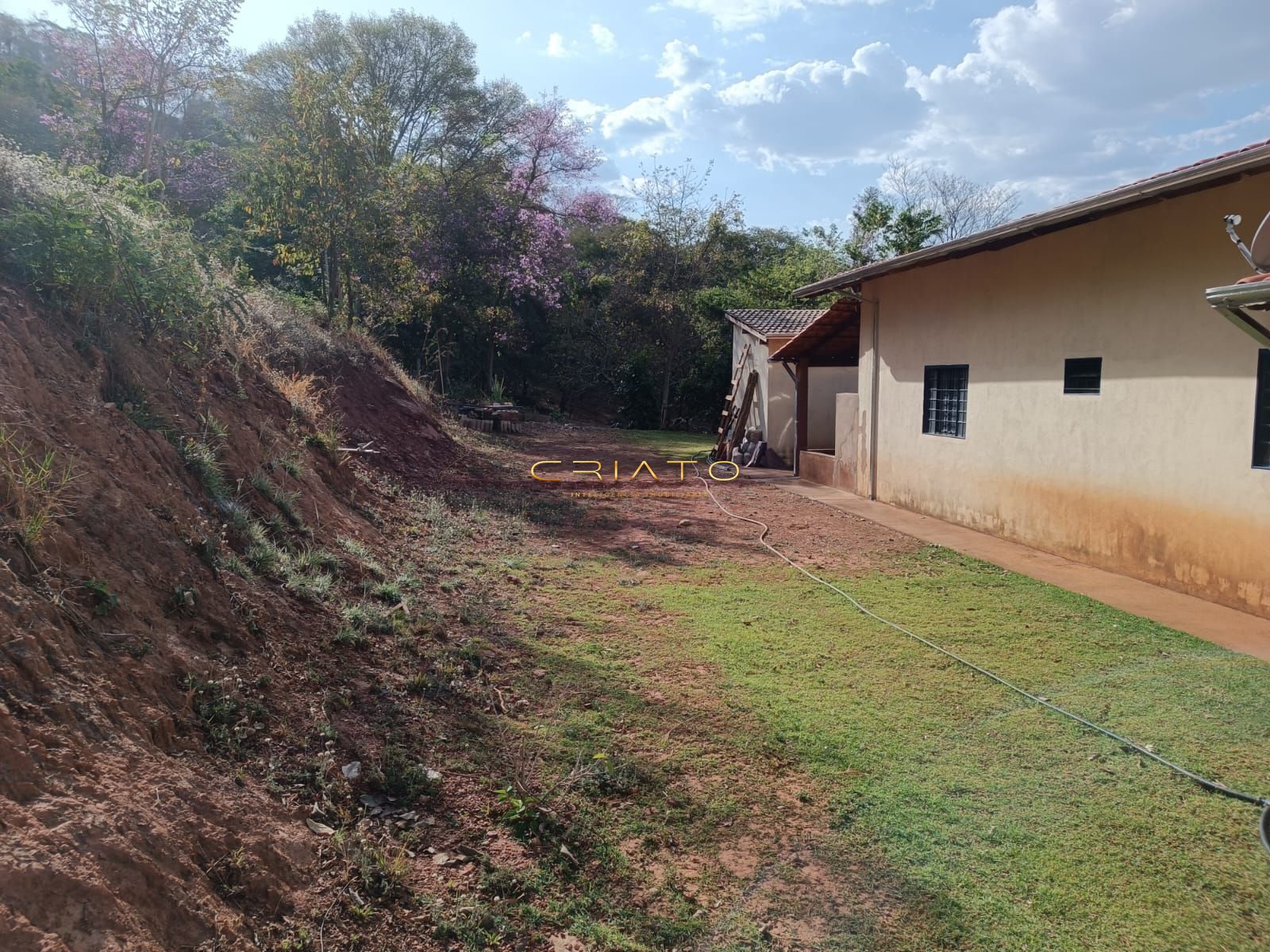 Fazenda à venda com 3 quartos, 12500m² - Foto 19