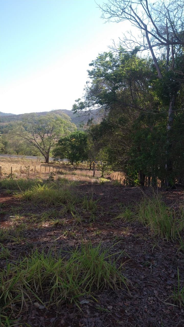 Loteamento e Condomínio à venda, 1000m² - Foto 10