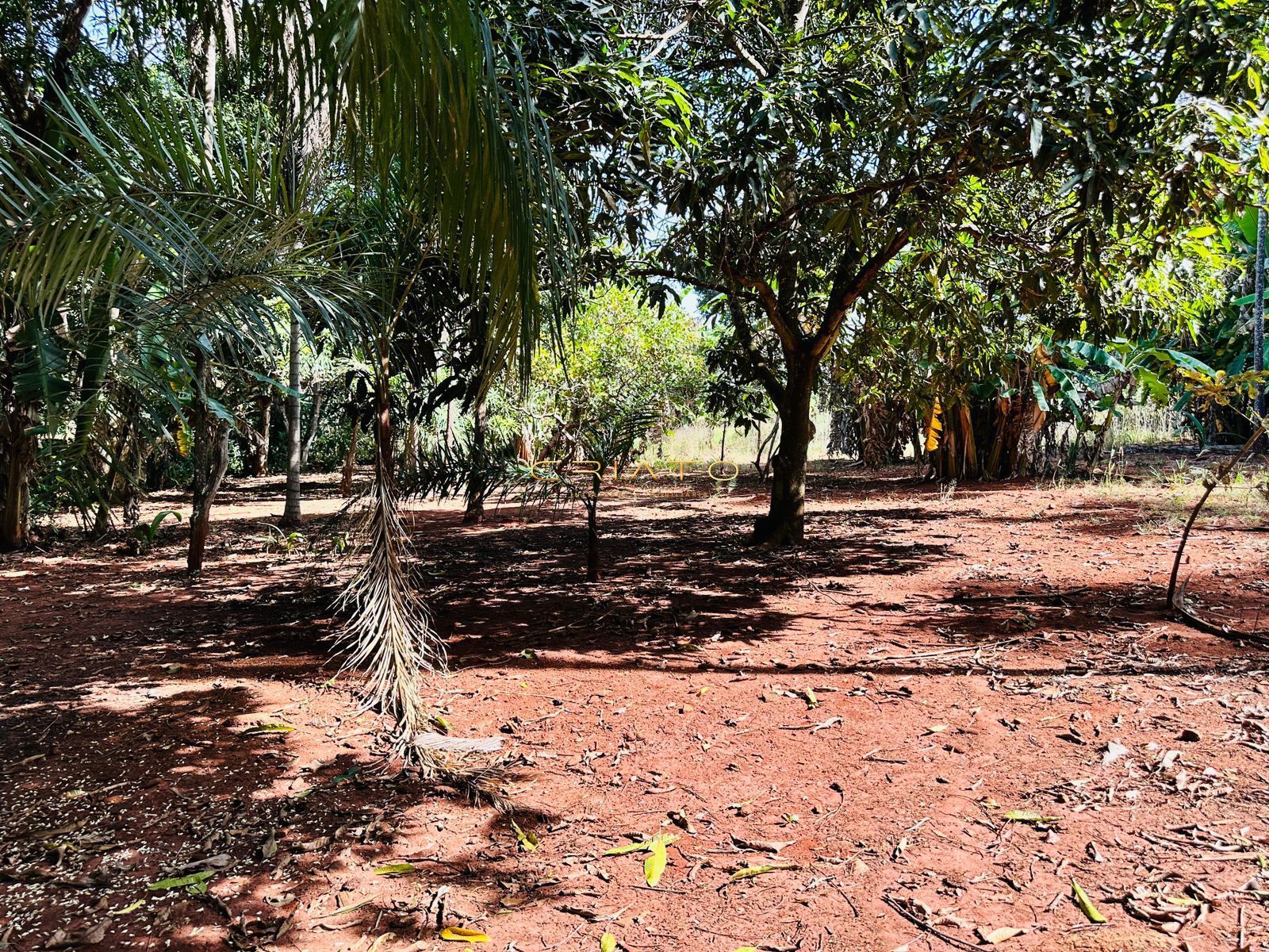 Fazenda à venda com 2 quartos, 40000m² - Foto 15