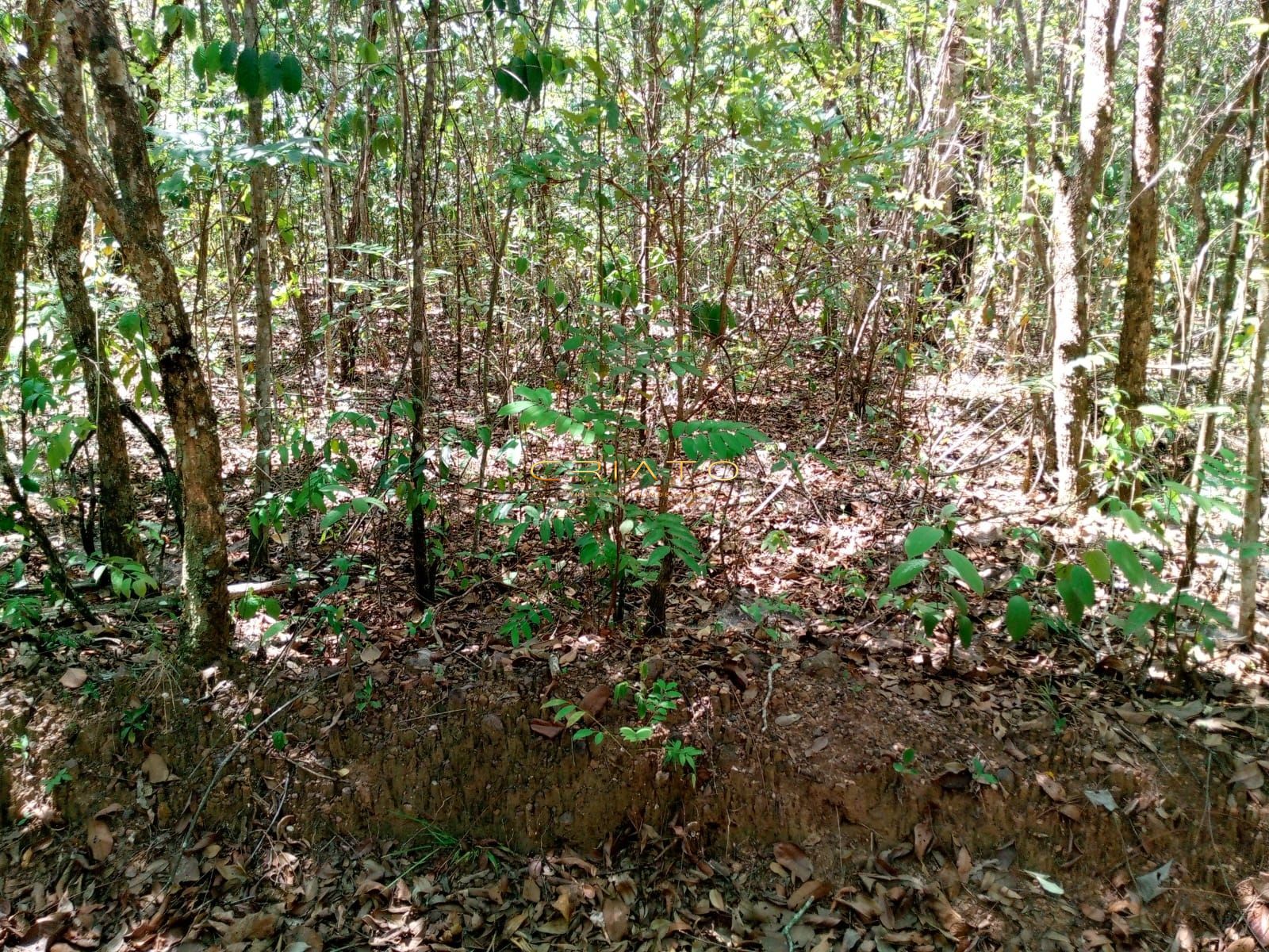 Chácara, 2 hectares - Foto 11