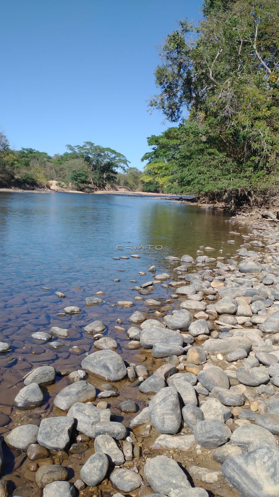 Fazenda a venda 50 mil por alqueire