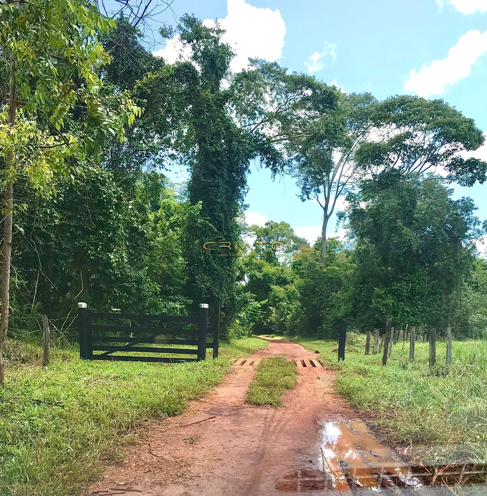 Fazenda à venda com 2 quartos, 150m² - Foto 23