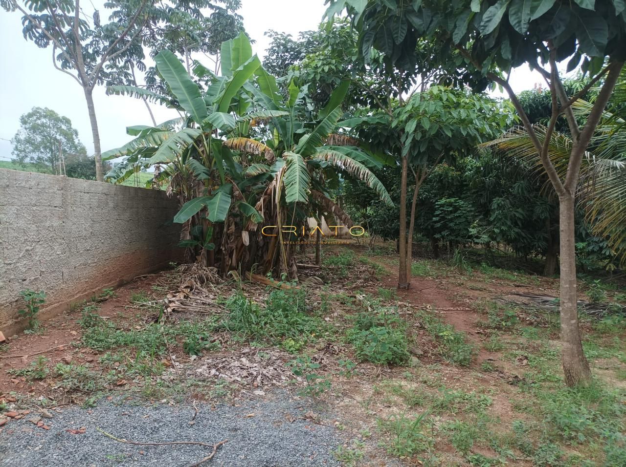 Fazenda à venda com 3 quartos, 3000m² - Foto 18