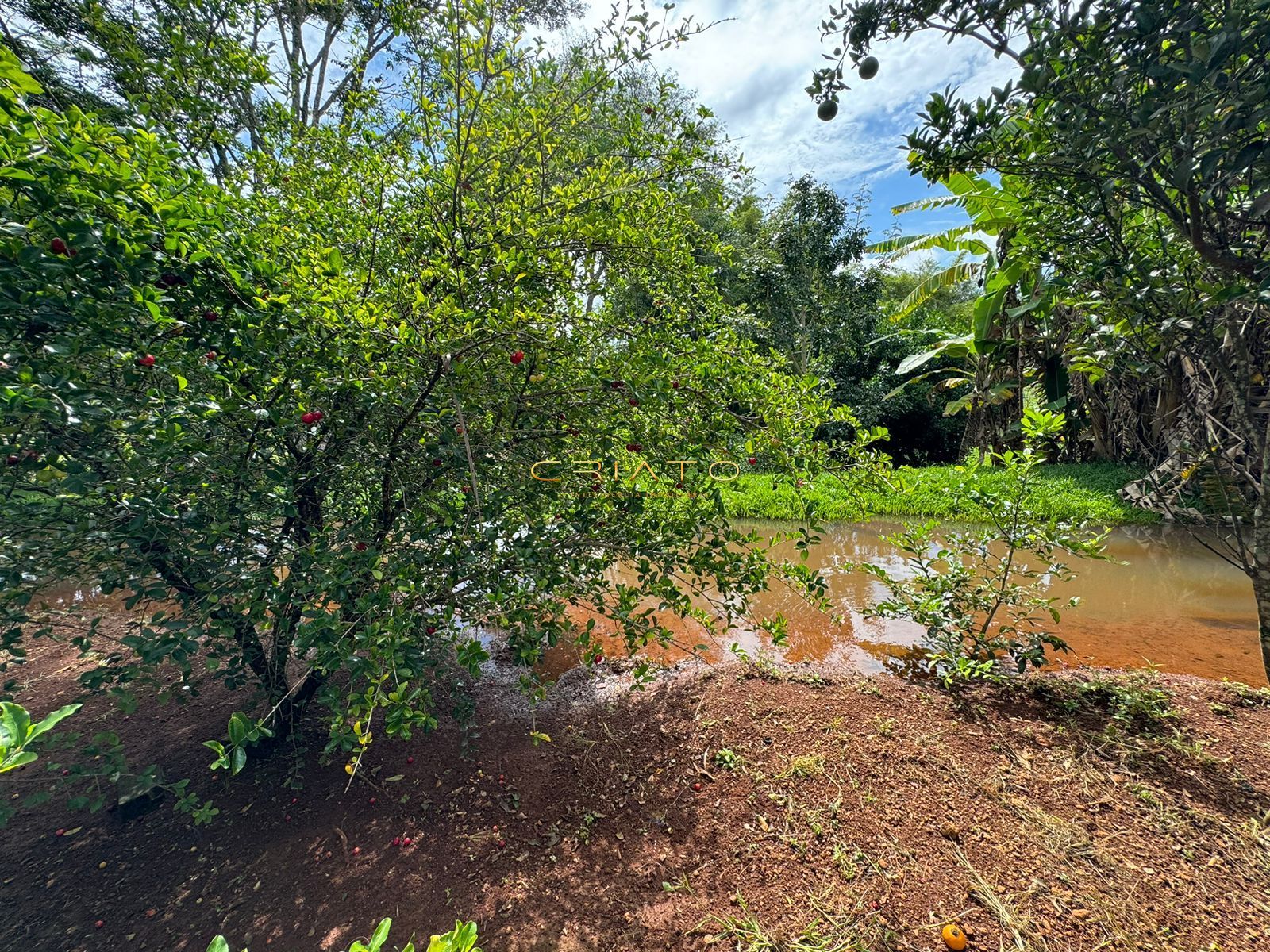 Fazenda à venda com 3 quartos, 300m² - Foto 22