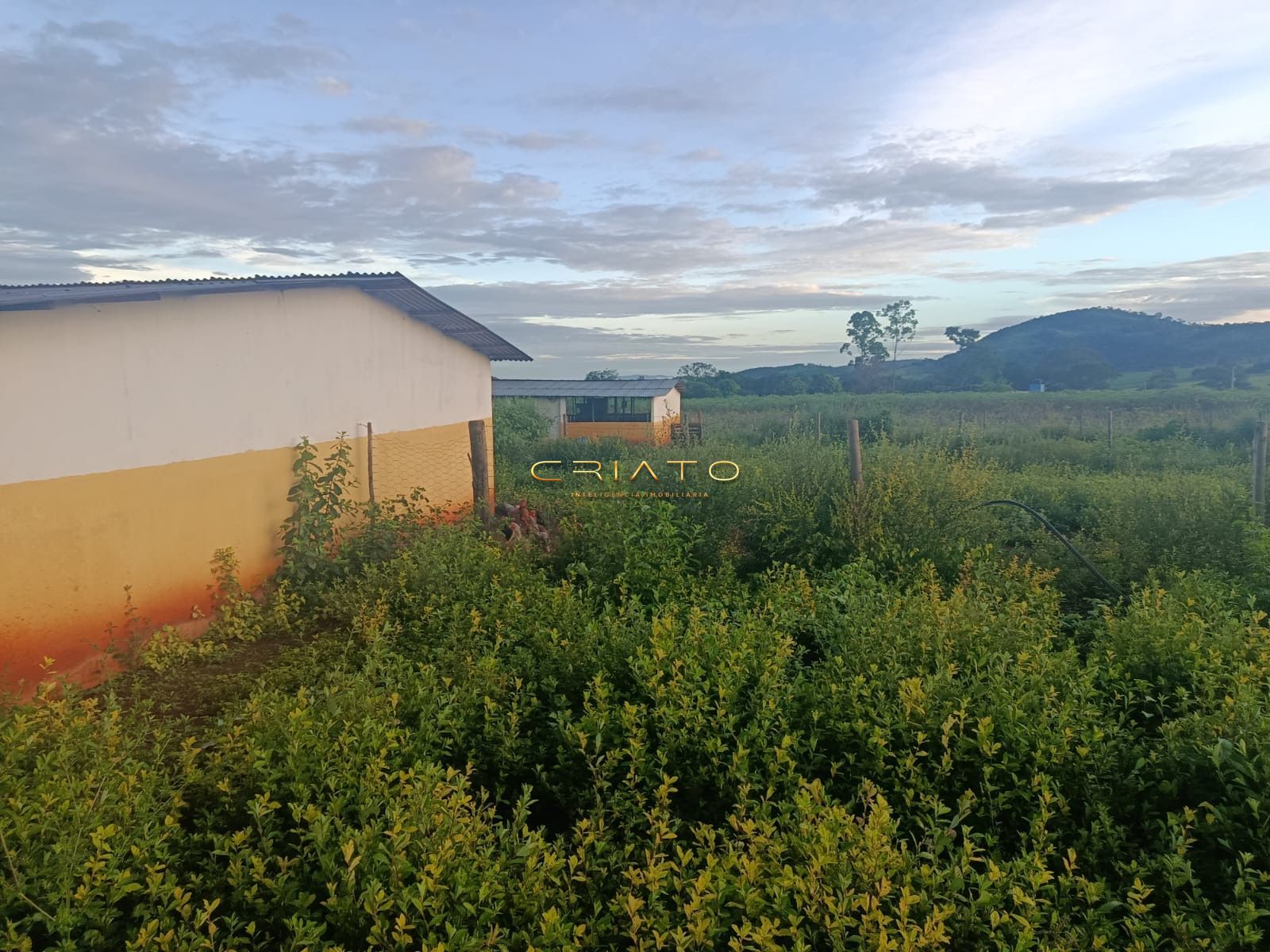 Sítio, 2 quartos, 5 hectares - Foto 7