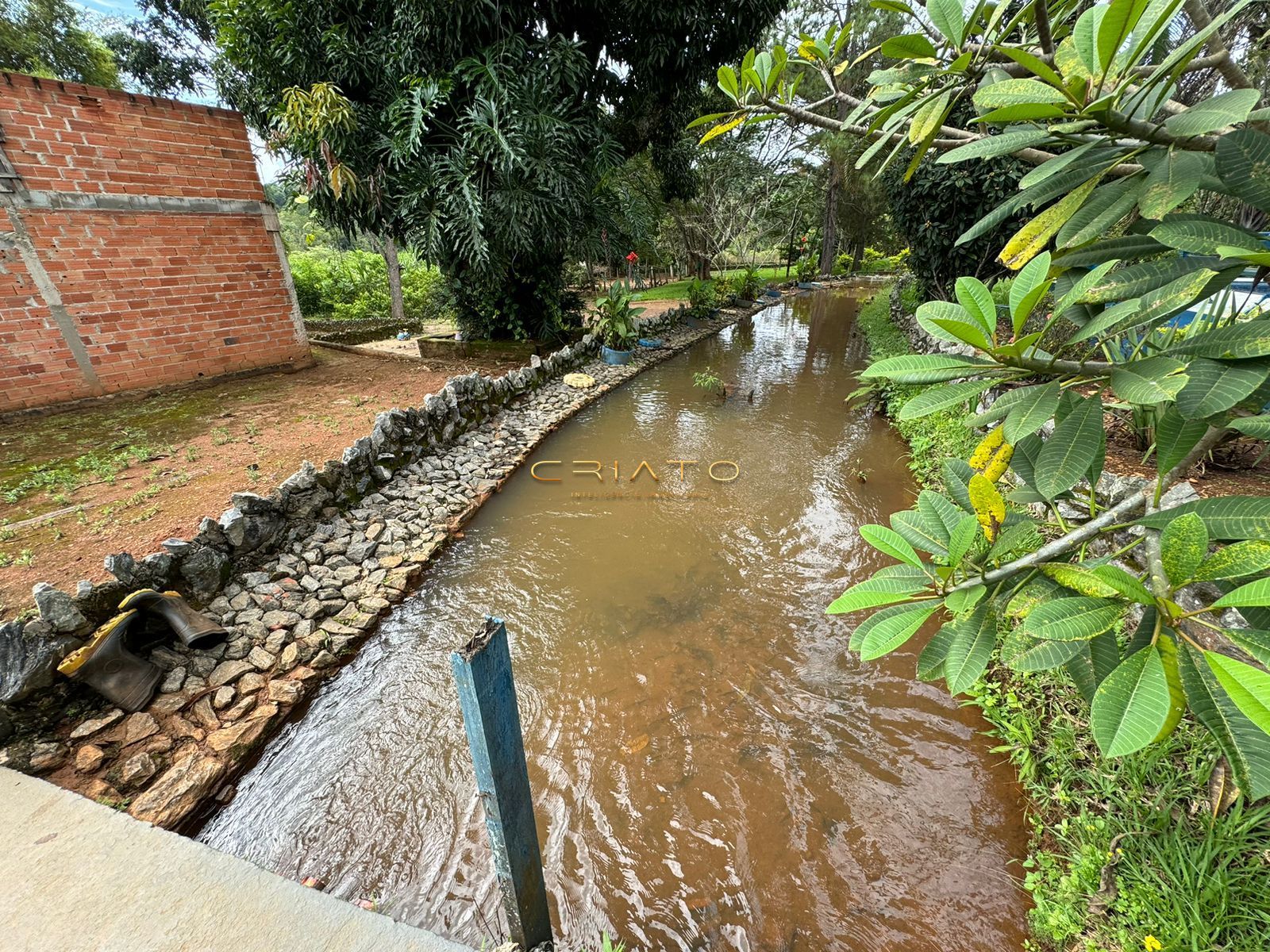 Fazenda à venda com 3 quartos, 300m² - Foto 3