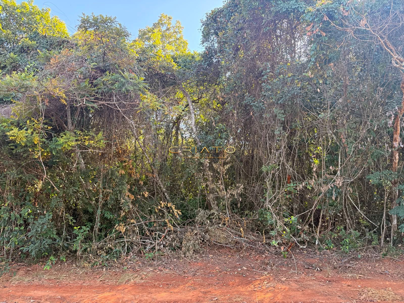 Terreno, 1200 m² - Foto 8
