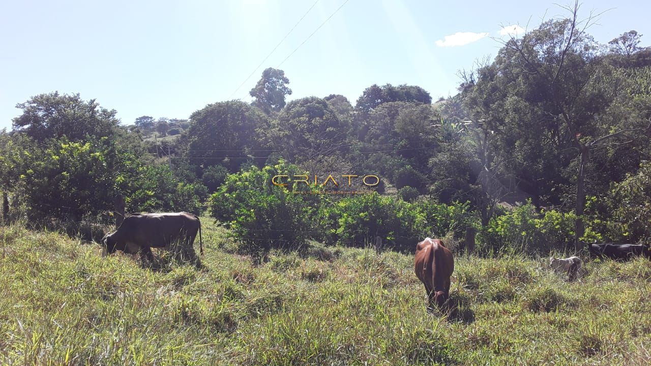 Fazenda à venda com 5 quartos, 18000m² - Foto 21