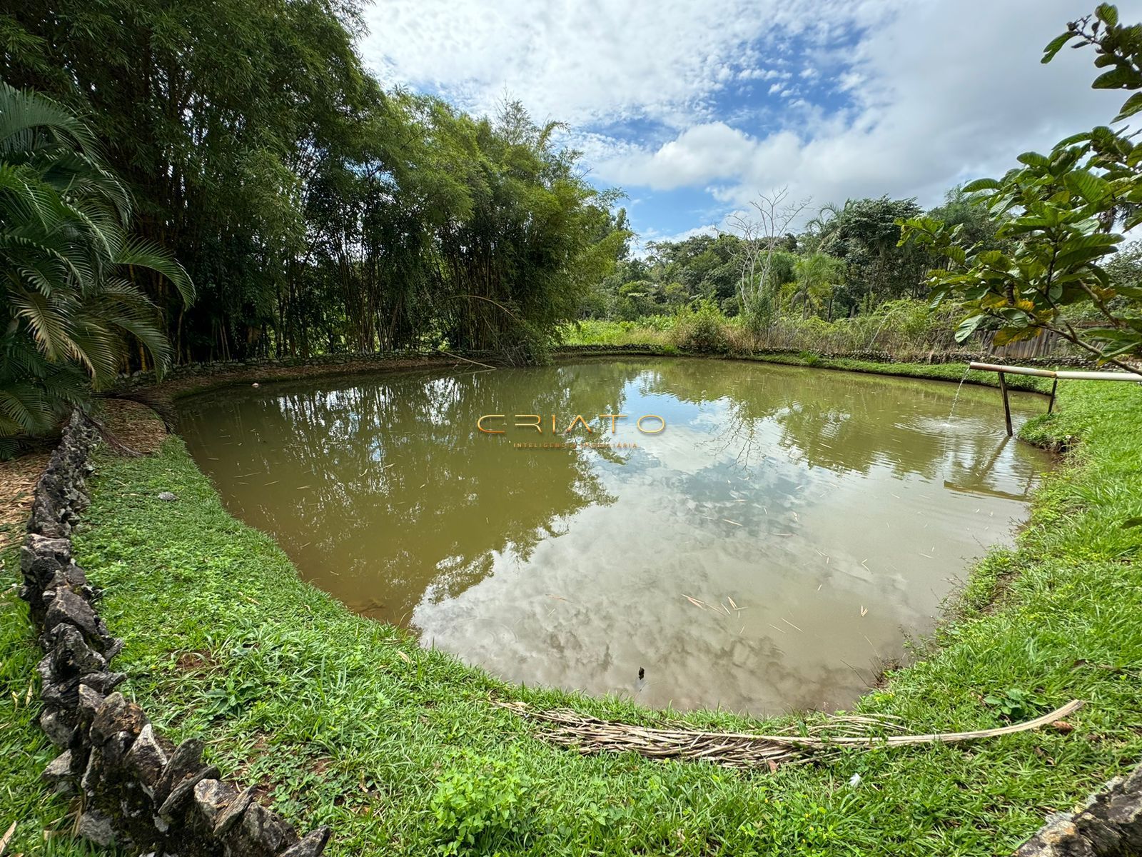 Fazenda à venda com 3 quartos, 300m² - Foto 23