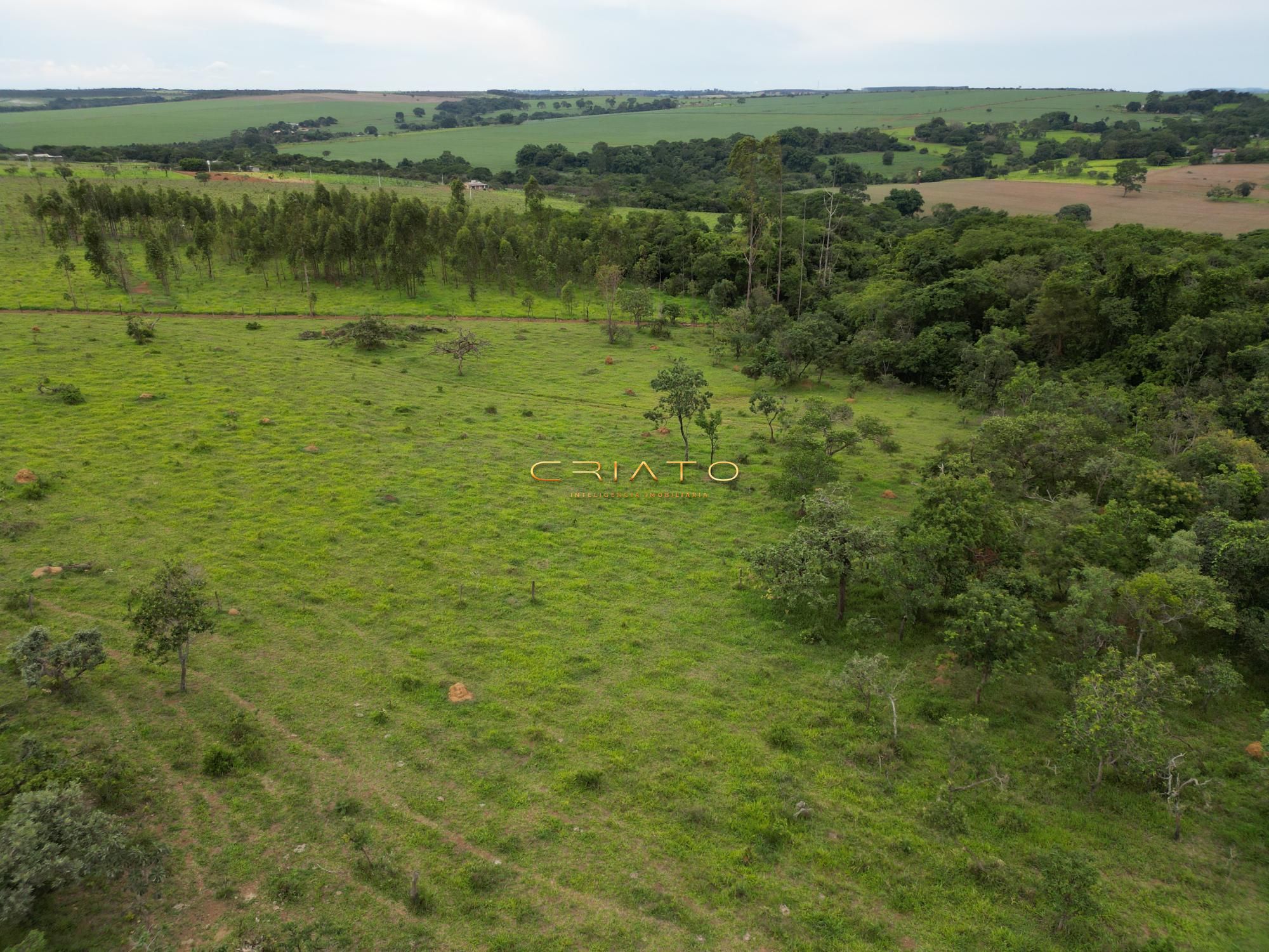 Fazenda à venda, 96000m² - Foto 5