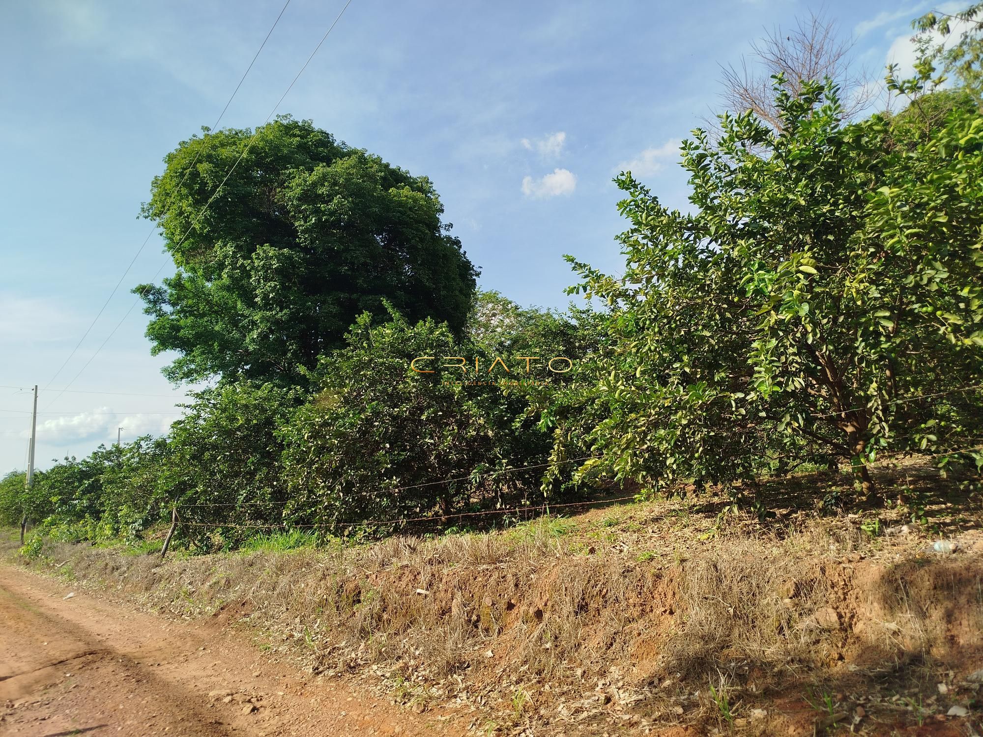 Fazenda à venda com 5 quartos, 18000m² - Foto 15