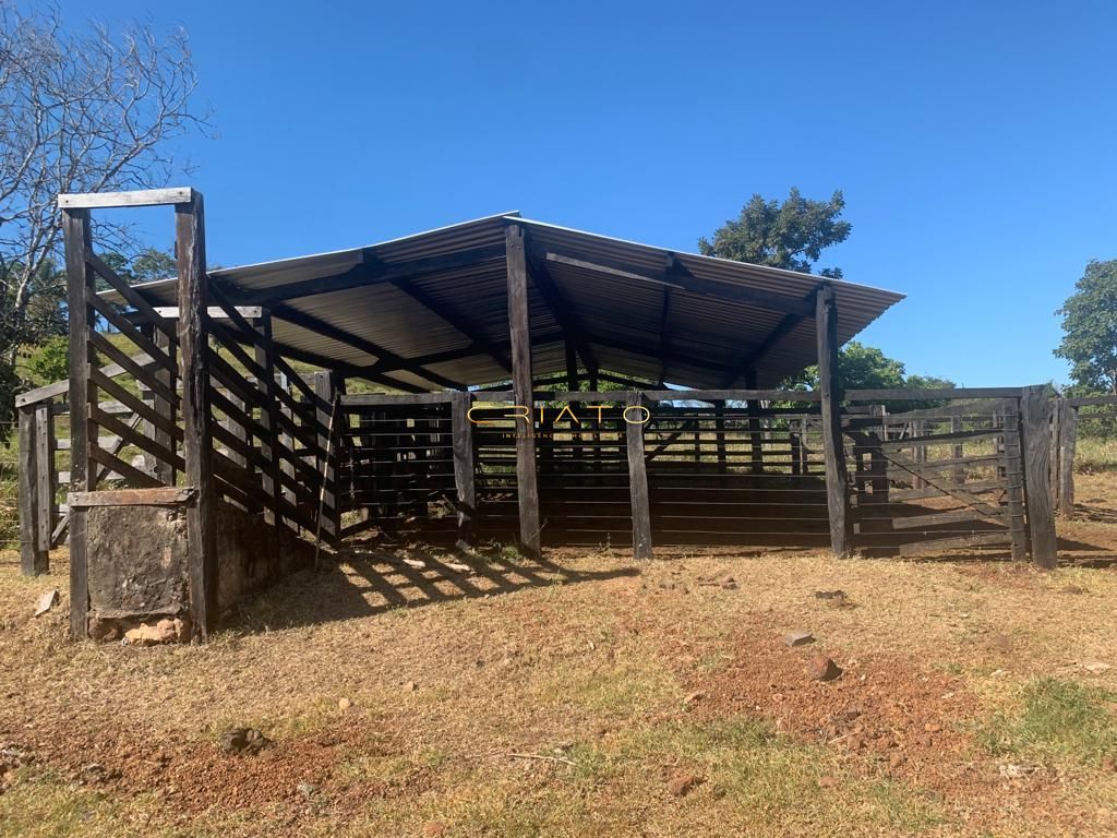 Fazenda à venda com 2 quartos, 620000m² - Foto 9