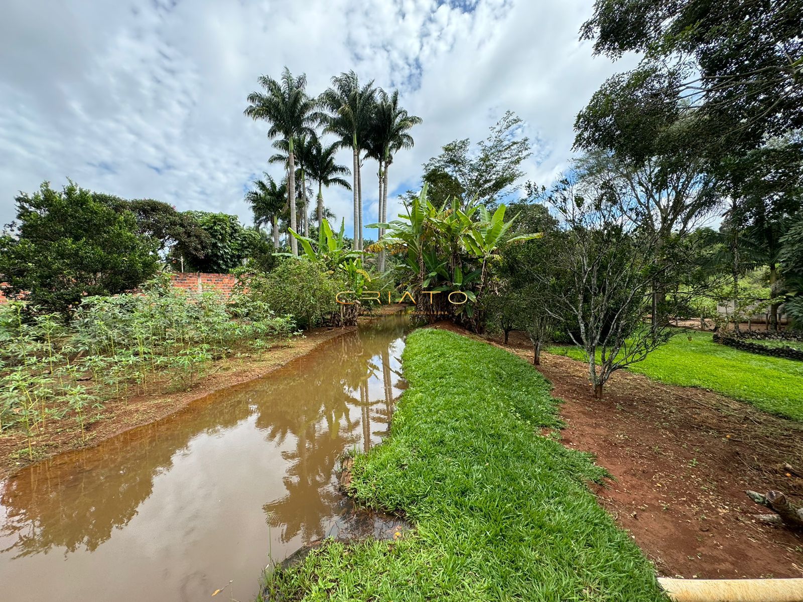 Fazenda à venda com 3 quartos, 300m² - Foto 11