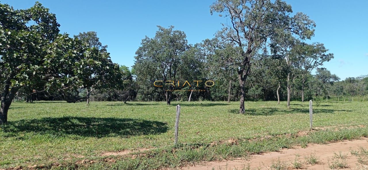 Fazenda à venda com 2 quartos, 240000m² - Foto 16