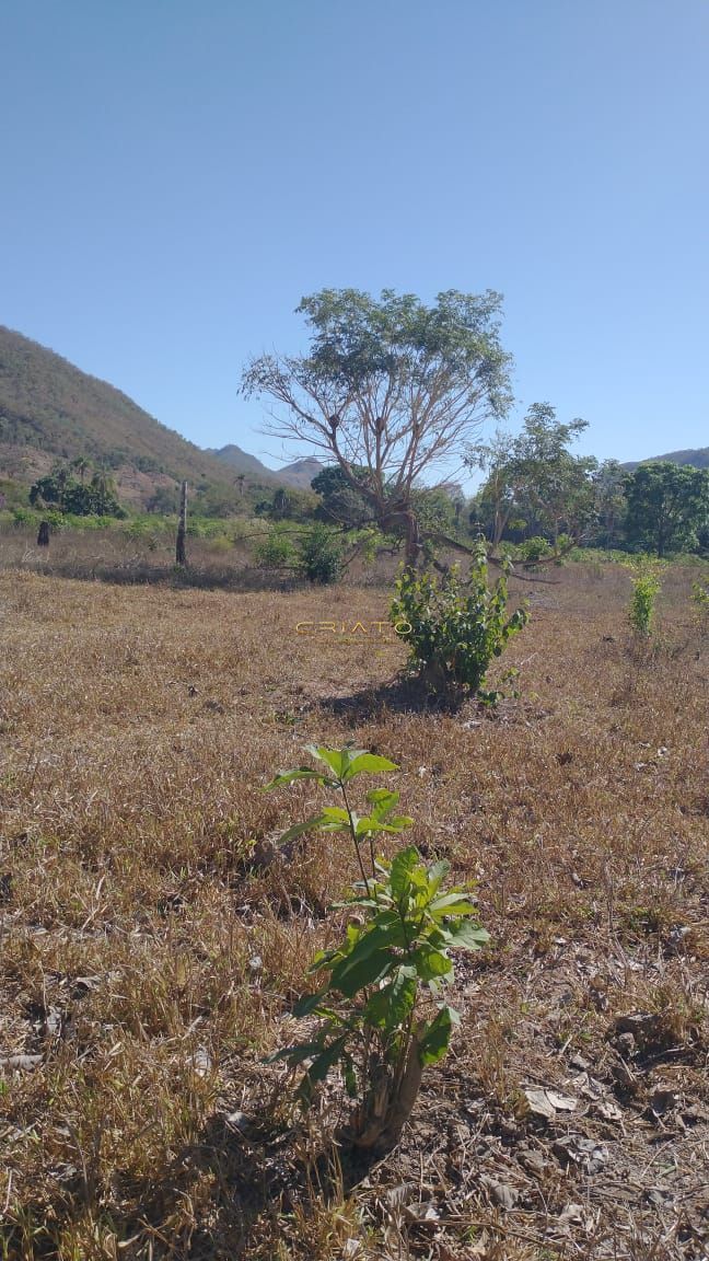 Fazenda à venda com 2 quartos, 80m² - Foto 6