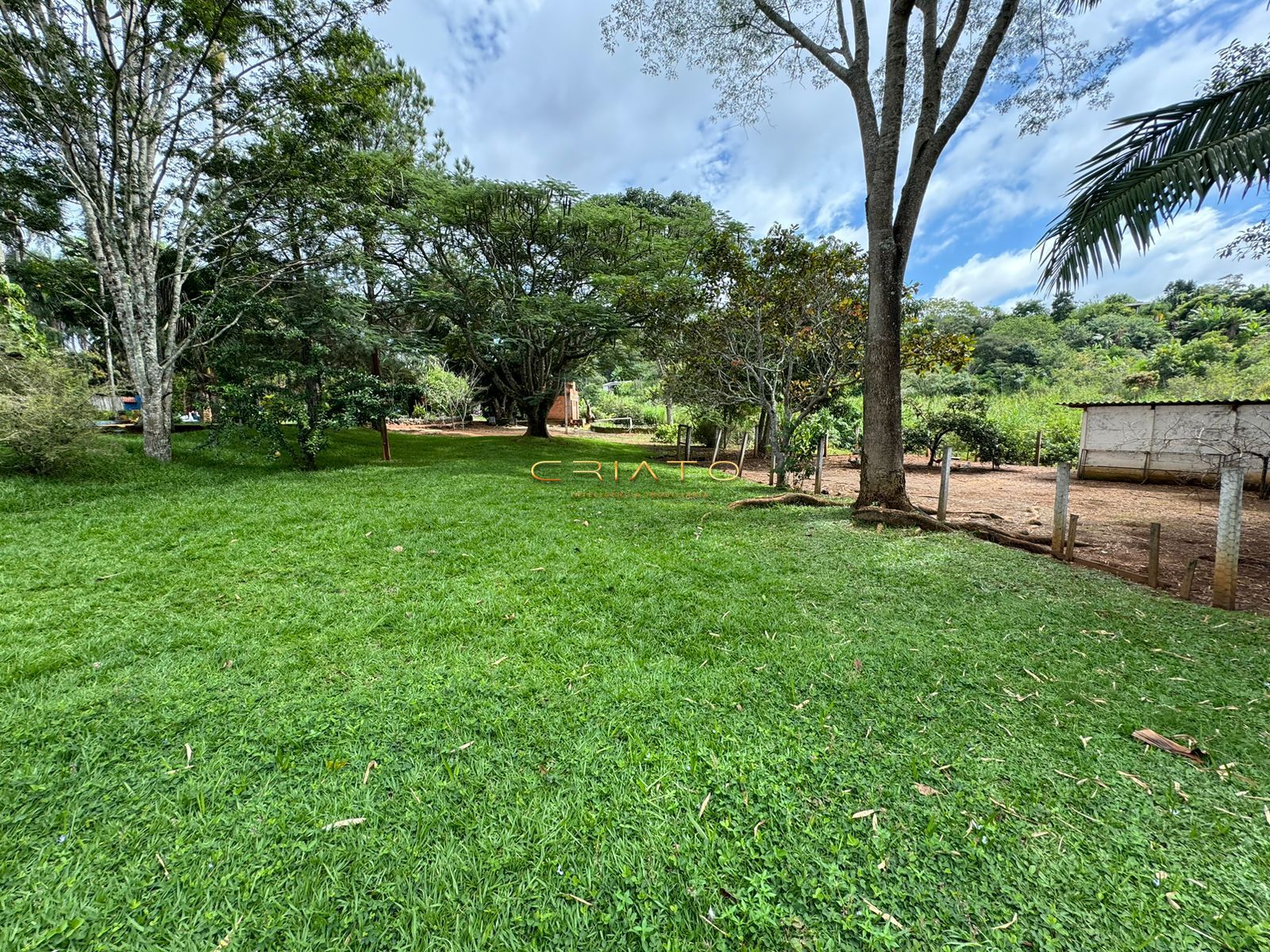 Fazenda à venda com 3 quartos, 300m² - Foto 13