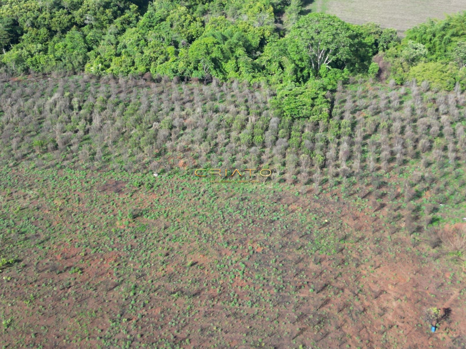 Fazenda à venda, 5000m² - Foto 1