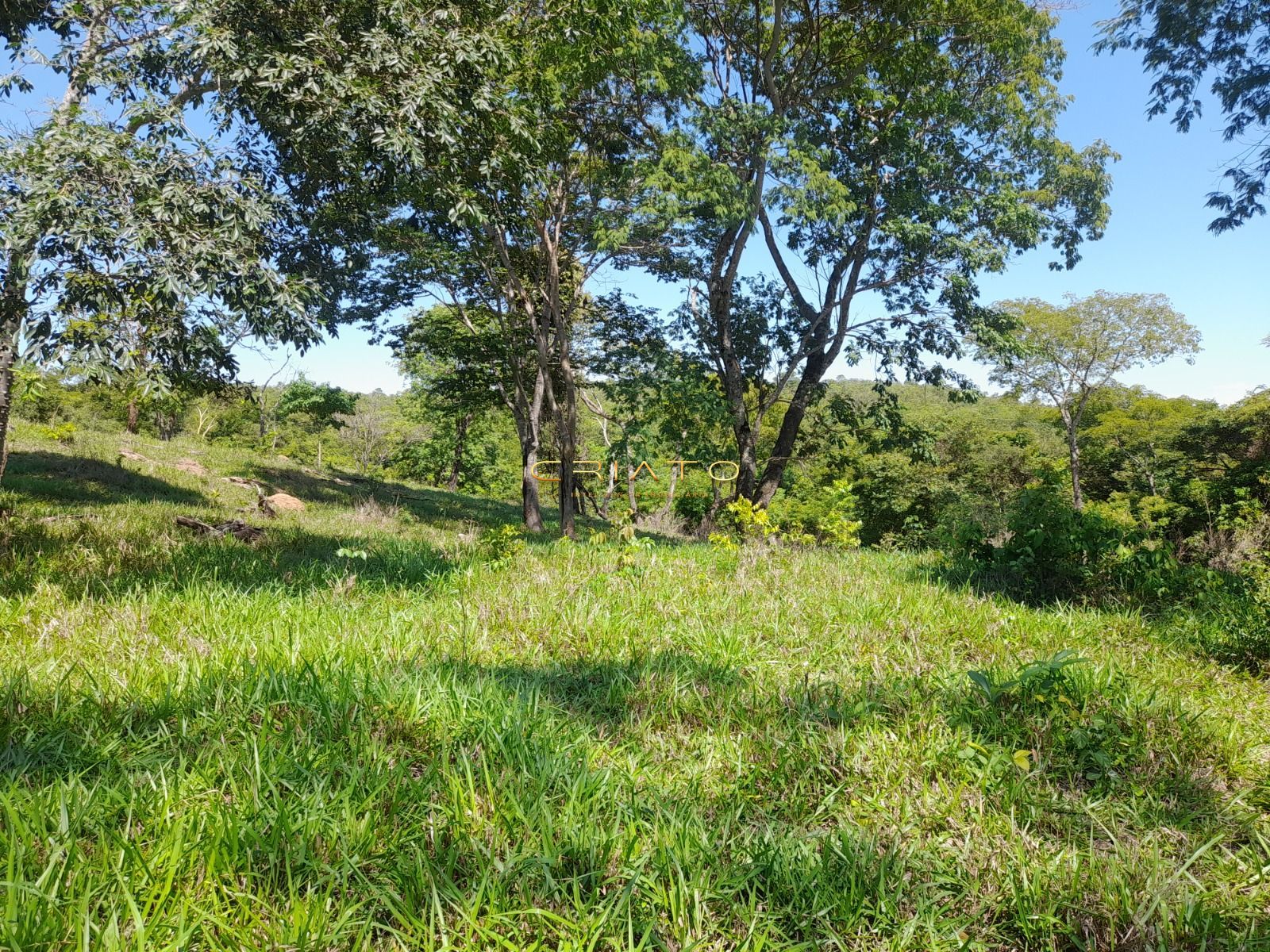 Fazenda, 145 hectares - Foto 14