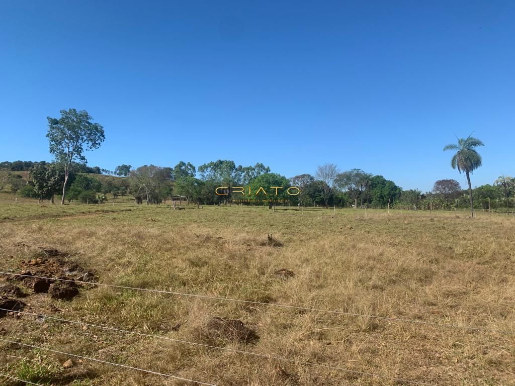 Sítio à venda com 2 quartos, 620000m² - Foto 17