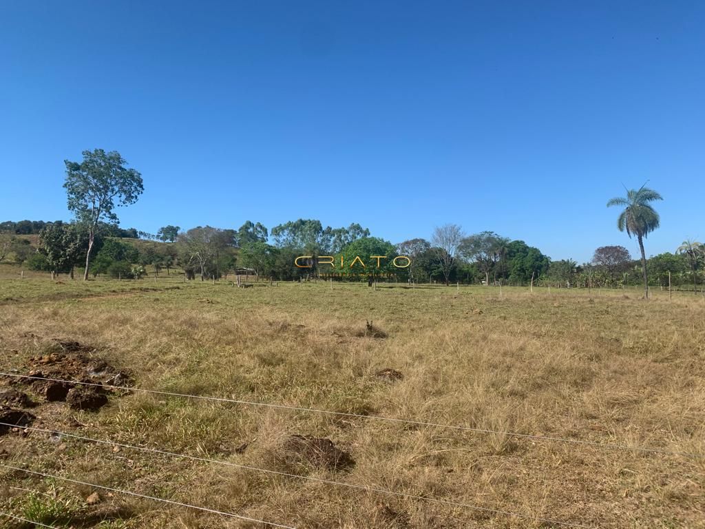 Fazenda à venda com 2 quartos, 620000m² - Foto 17