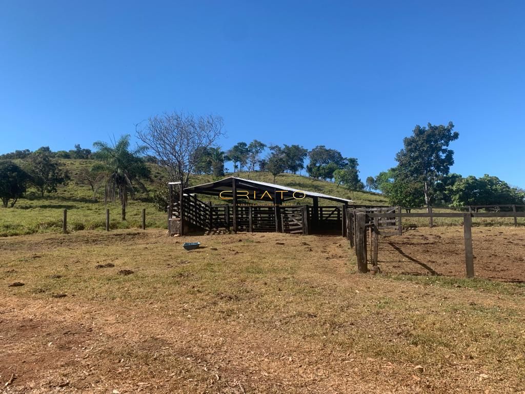 Fazenda à venda com 2 quartos, 620000m² - Foto 10